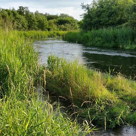 Casa de Férias 5 Star In Ansager-by Traum